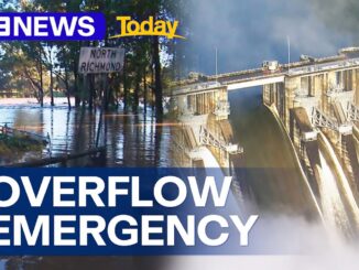 Sydney’s Warragamba Dam reaches capacity after heavy rain | 9 News Australia