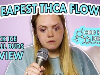Trying the CHEAPEST THCA flower on the Internet! CBD HEMP DIRECT Review Black Ice