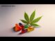 Bioscience CBD Gummies Reviews 🚨ALERT🚨 Bioscience Male Enhancement Gummies| Maximum Strength Gummies