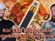 Koi CBD Disposable Hawaiian Driver Review