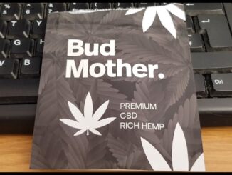 BudMother Follow up CBD Amnesia REVIEW