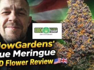 Blue Meringue CBD Flower Review – Flow Gardens – The CBD flower shop
