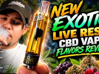 Primary Jane’s New Batch of Live Resin Vape Flavors!! | CBD Vape Review